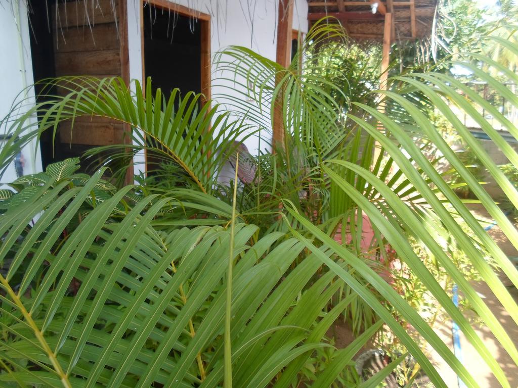 Surf & Sand Hotel Arugambay Arugam Bay Exterior foto